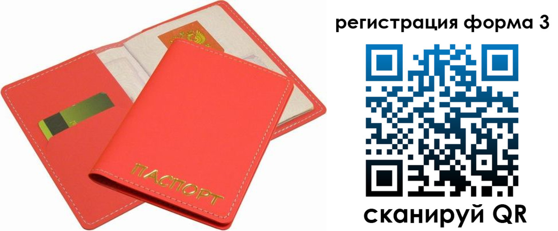 прописка для школы в Волосово